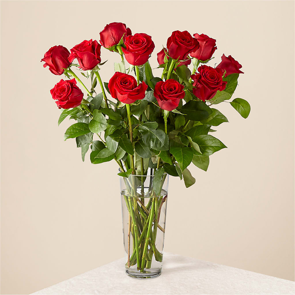 Long Stem Red Rose Bouquet – WENDT'S FLORIST & GIFTS, Duncansville PA