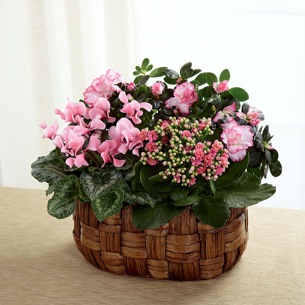 Pink Assortment – WENDT'S FLORIST & GIFTS, Duncansville PA