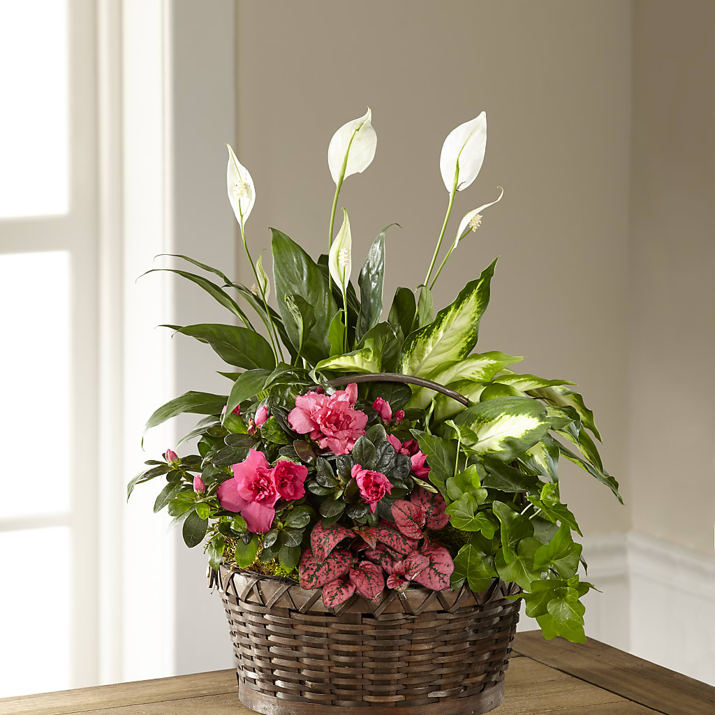 Dream in Pink Dishgarden – WENDT'S FLORIST & GIFTS, Duncansville PA