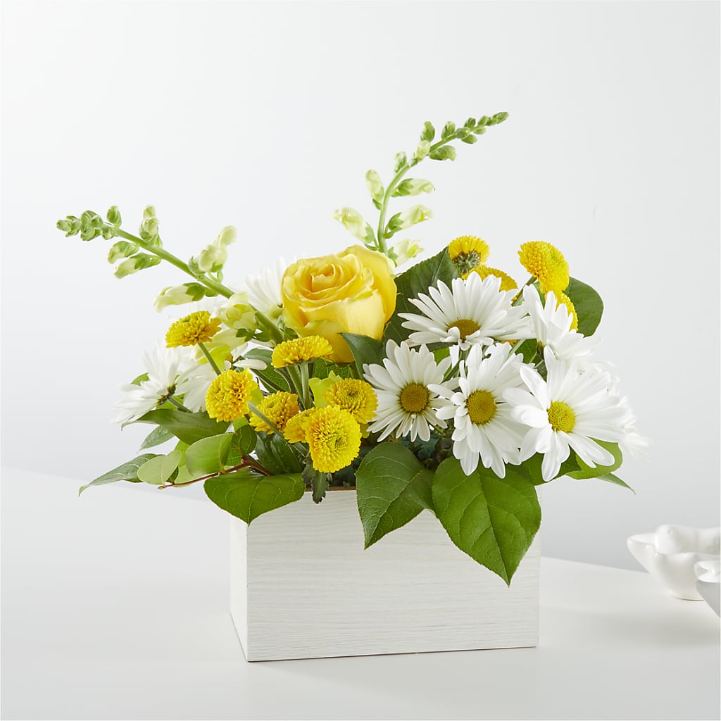 Sun Salutation Box Bouquet – WENDT'S FLORIST & GIFTS, Duncansville PA