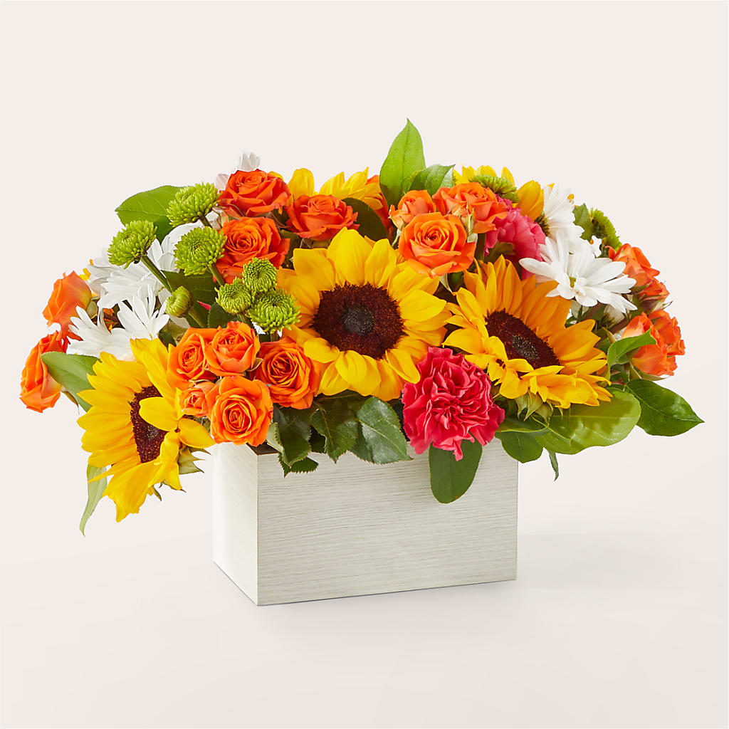 Sun-drenched Blooms Box Bouquet – WENDT'S FLORIST & GIFTS, Duncansville PA