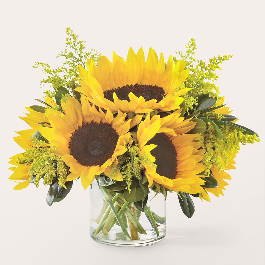 Beaming Sunflower Bouquet – WENDT'S FLORIST & GIFTS, Duncansville PA