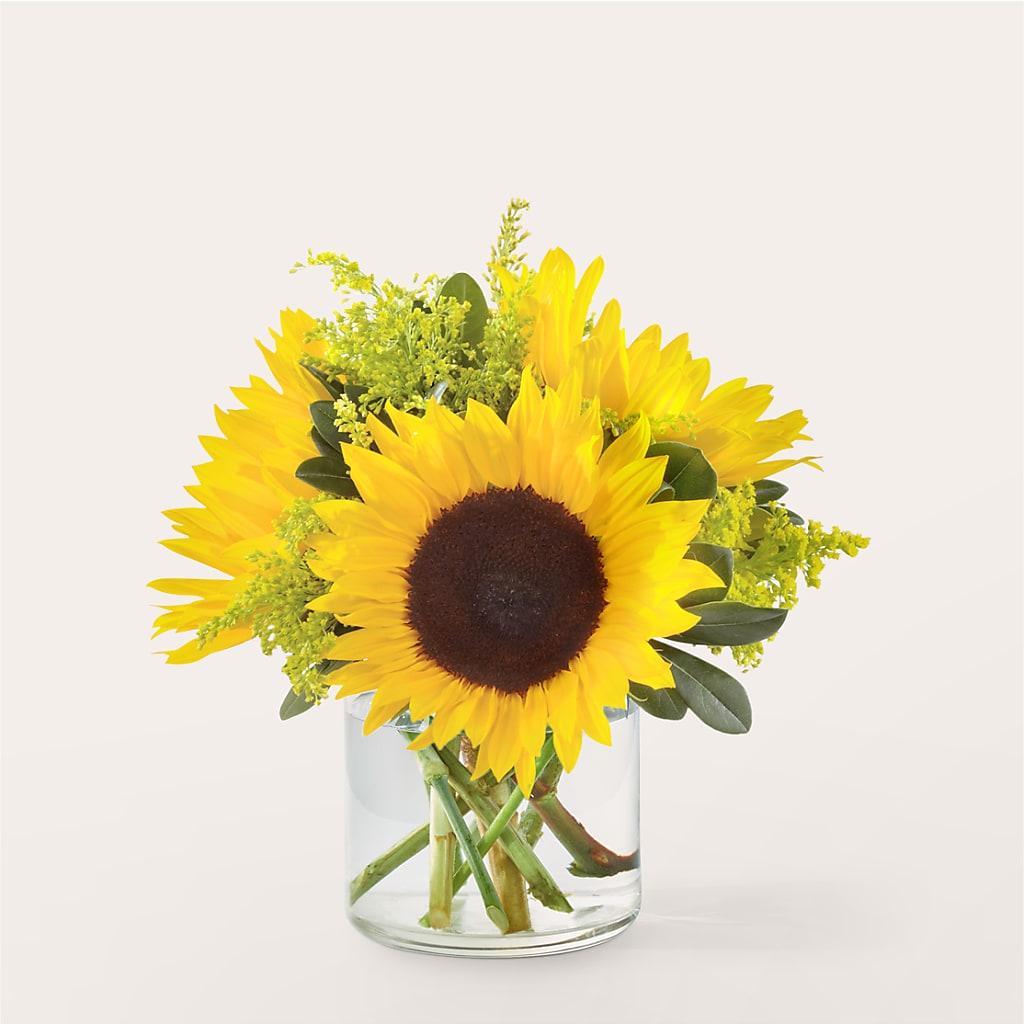 Beaming Sunflower Bouquet – WENDT'S FLORIST & GIFTS, Duncansville PA