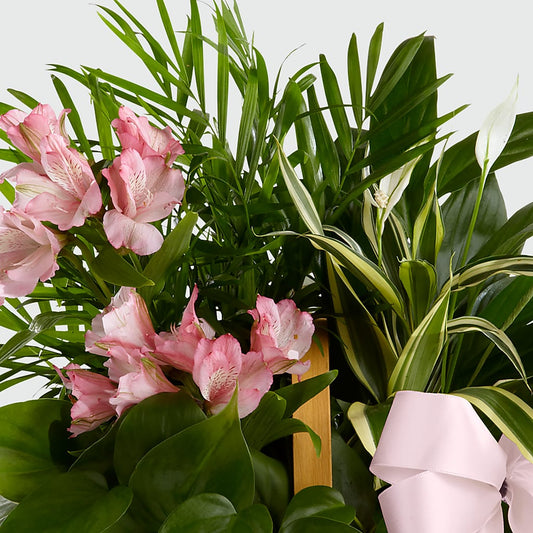 Living Spirit Dishgarden – WENDT'S FLORIST & GIFTS, Duncansville PA
