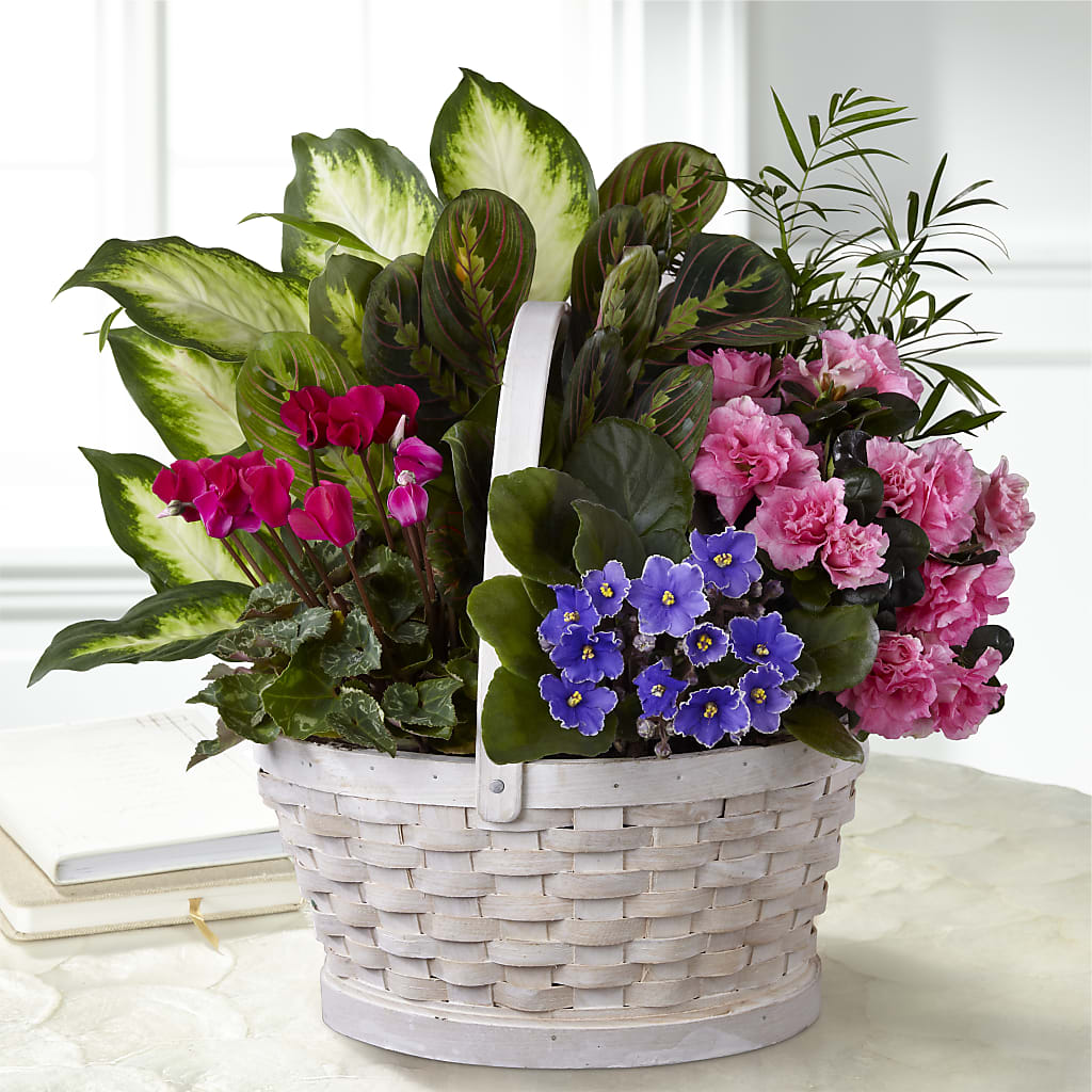 Peaceful Garden Planter – WENDT'S FLORIST & GIFTS, Duncansville PA