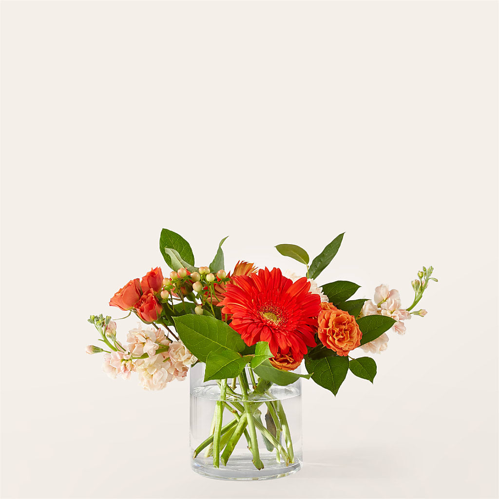 Paloma Please Bouquet – WENDT'S FLORIST & GIFTS, Duncansville PA
