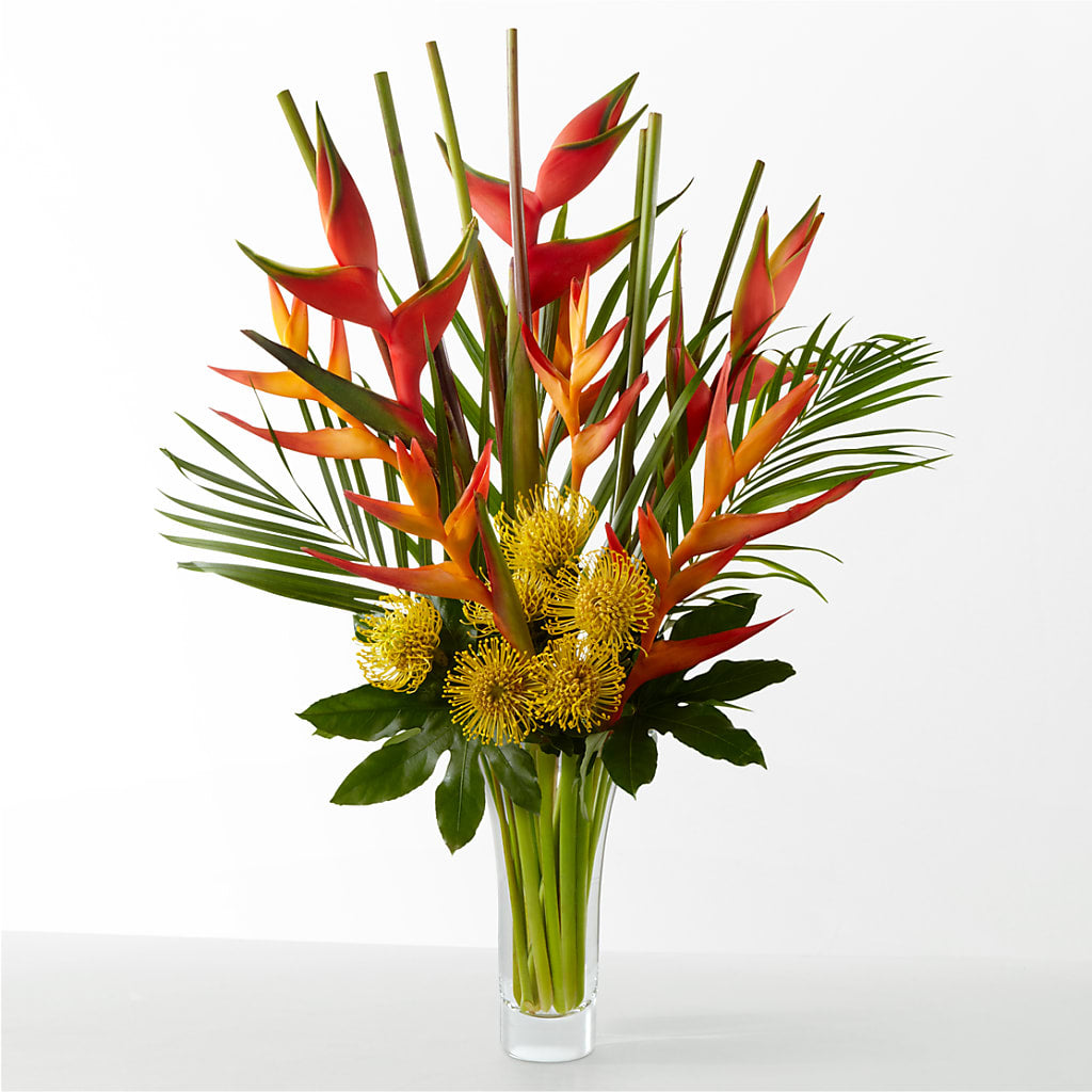 The Drama – WENDT'S FLORIST & GIFTS, Duncansville PA