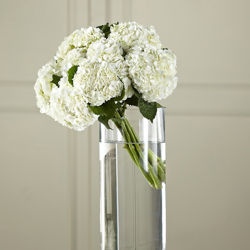 White Hydrangea Hand-Tied Bouquet – WENDT'S FLORIST & GIFTS, Duncansville PA