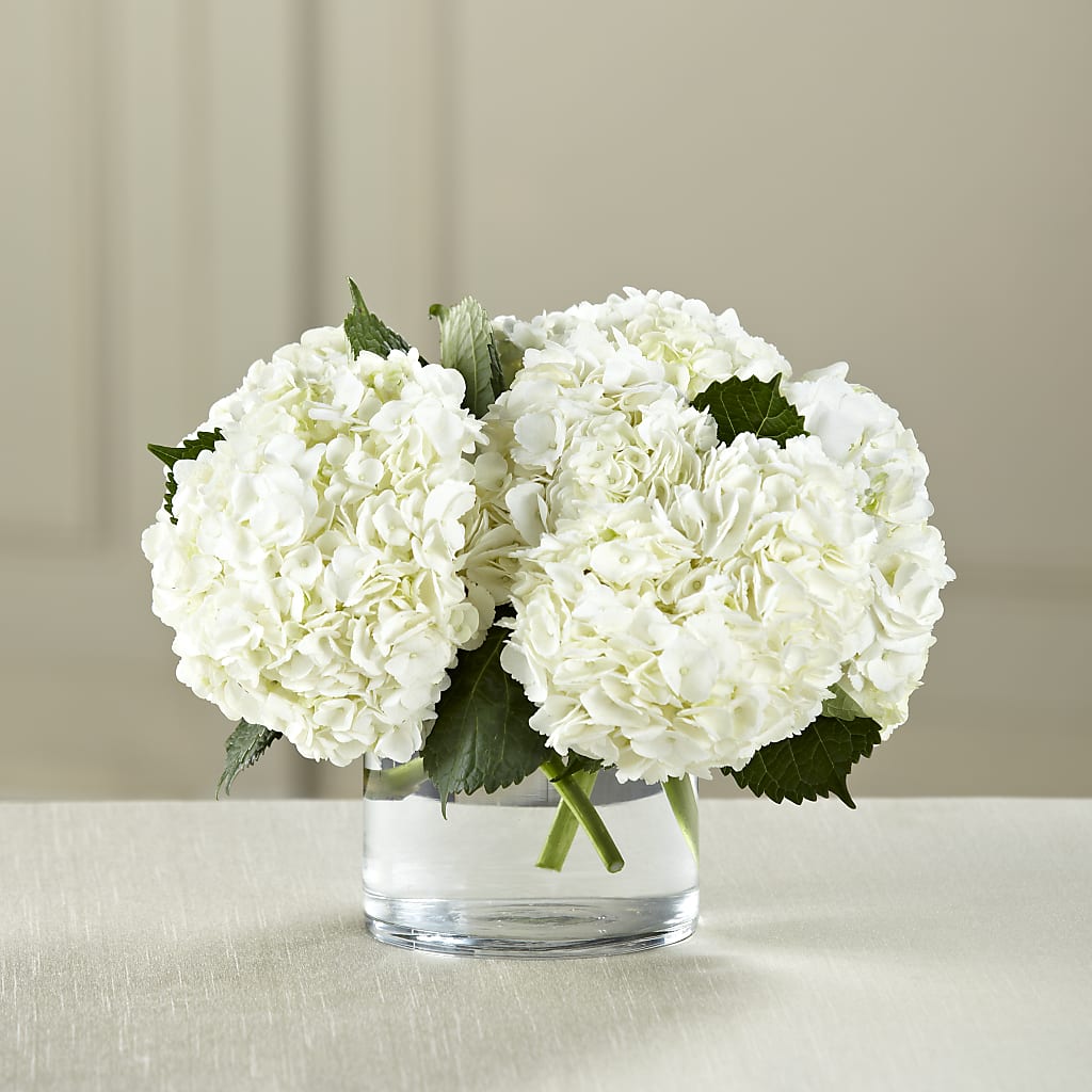White Hydrangea Bouquet – WENDT'S FLORIST & GIFTS, Duncansville PA