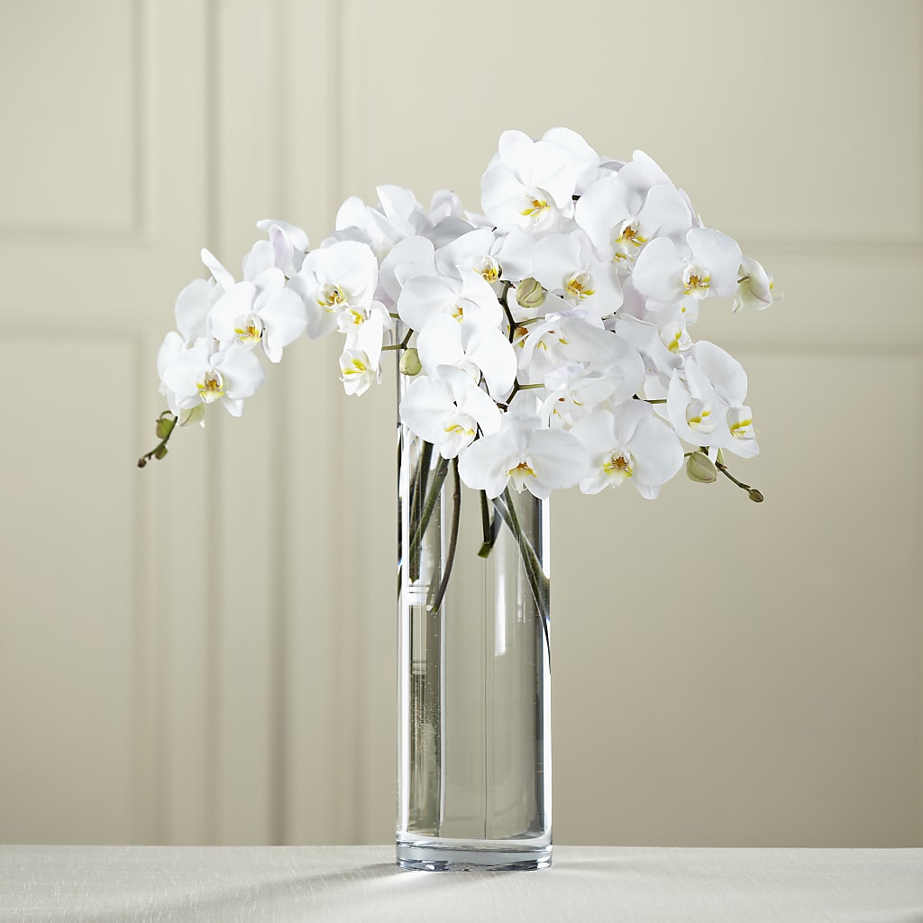 White Phalaenopsis Bouquet – WENDT'S FLORIST & GIFTS, Duncansville PA