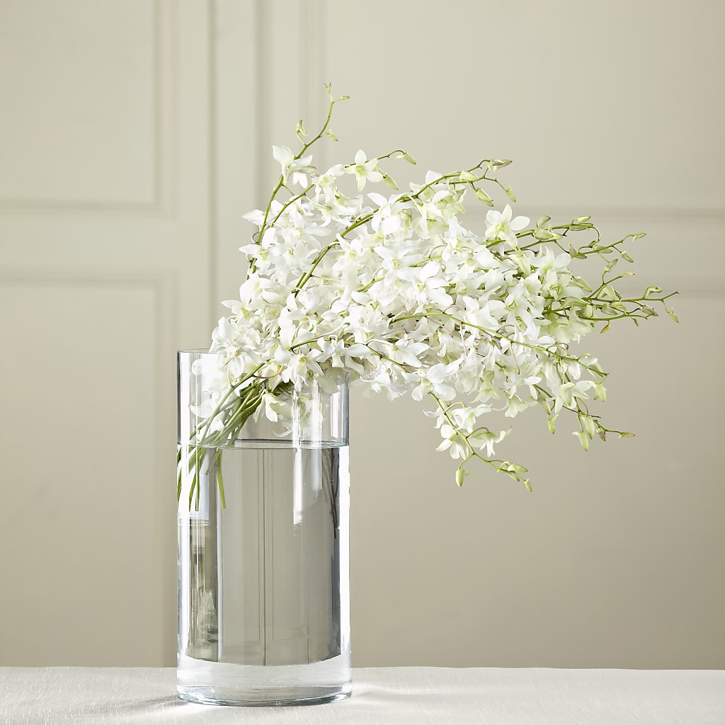 White Dendrobium Bouquet – WENDT'S FLORIST & GIFTS, Duncansville PA