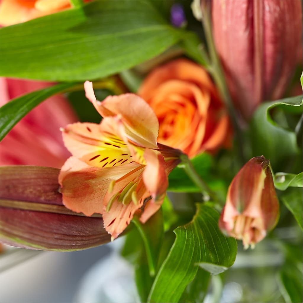 Bold & Bright – A Florist Original – WENDT'S FLORIST & GIFTS, Duncansville PA