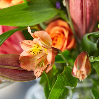 Bold & Bright – A Florist Original – WENDT'S FLORIST & GIFTS, Duncansville PA