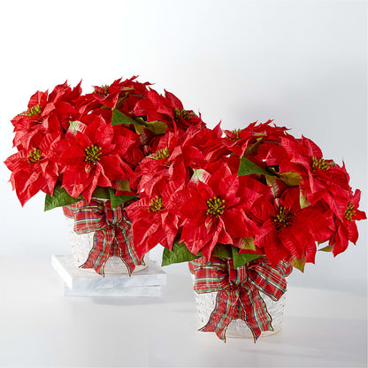 Happiest Holidays Poinsettia Bundle – WENDT'S FLORIST & GIFTS, Duncansville PA