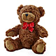 Adorable Plush Bear – WENDT'S FLORIST & GIFTS, Duncansville PA