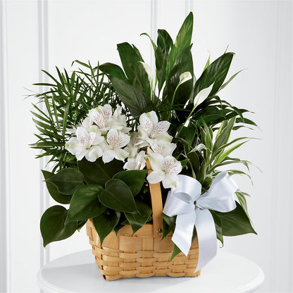 Peace & Serenity Dishgarden – WENDT'S FLORIST & GIFTS, Duncansville PA