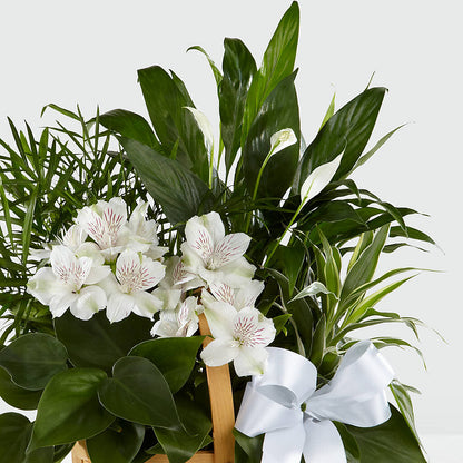 Peace & Serenity Dishgarden – WENDT'S FLORIST & GIFTS, Duncansville PA