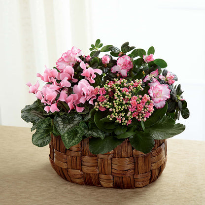 Pink Assortment – WENDT'S FLORIST & GIFTS, Duncansville PA