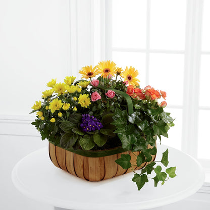 Gentle Blossoms Basket – WENDT'S FLORIST & GIFTS, Duncansville PA