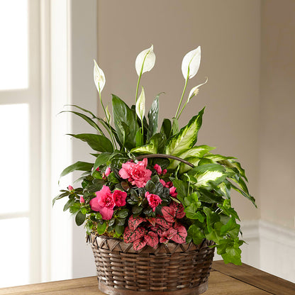 Dream in Pink Dishgarden – WENDT'S FLORIST & GIFTS, Duncansville PA