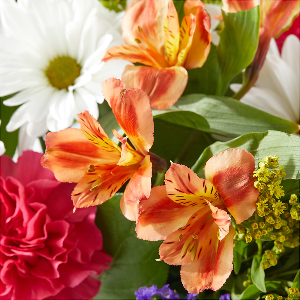 Oopsie Daisy Box Bouquet – WENDT'S FLORIST & GIFTS, Duncansville PA