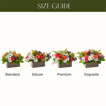 Oopsie Daisy Box Bouquet – WENDT'S FLORIST & GIFTS, Duncansville PA