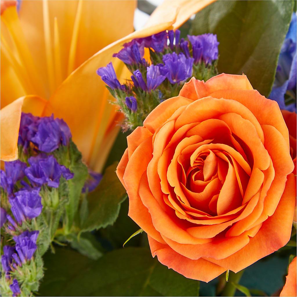 Radiant Citrus Box Bouquet – WENDT'S FLORIST & GIFTS, Duncansville PA