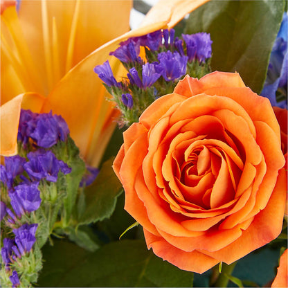 Radiant Citrus Box Bouquet – WENDT'S FLORIST & GIFTS, Duncansville PA