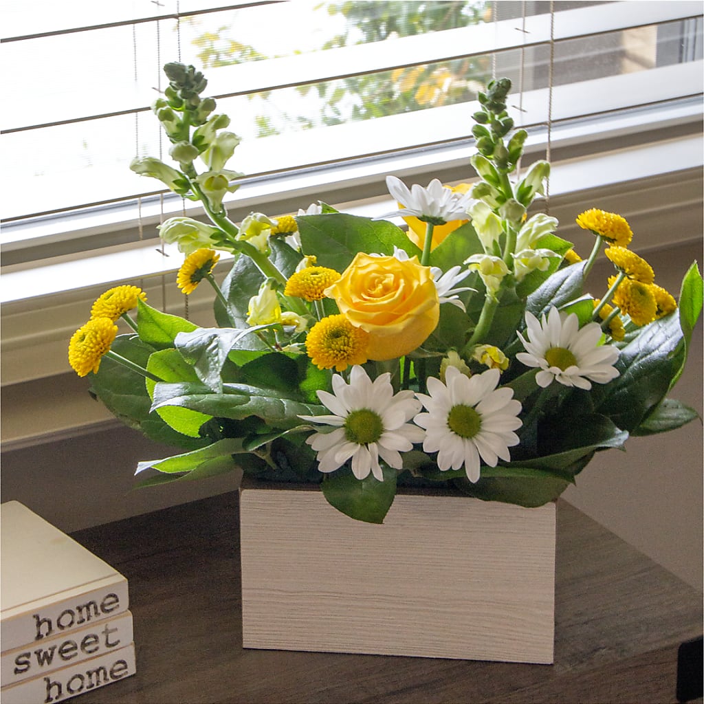 Sun Salutation Box Bouquet – WENDT'S FLORIST & GIFTS, Duncansville PA