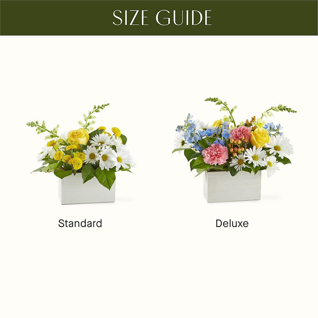 Sun Salutation Box Bouquet – WENDT'S FLORIST & GIFTS, Duncansville PA