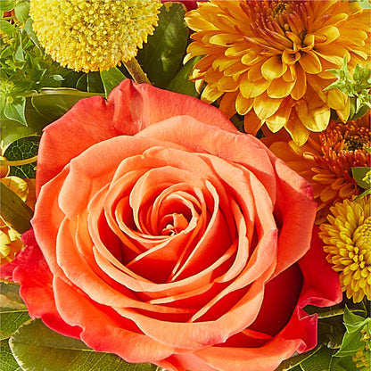 Gourdgeous Pumpkin – WENDT'S FLORIST & GIFTS, Duncansville PA