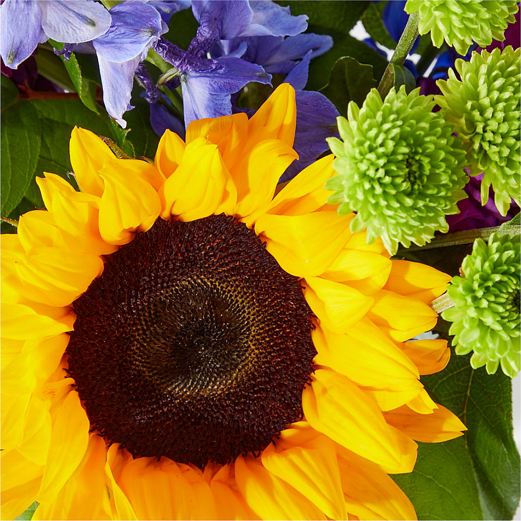 Catching Rays Bouquet – WENDT'S FLORIST & GIFTS, Duncansville PA
