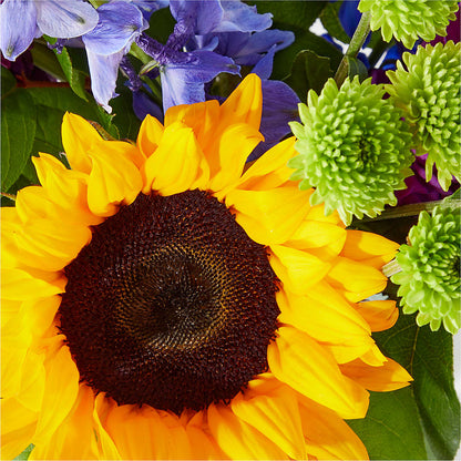Catching Rays Bouquet – WENDT'S FLORIST & GIFTS, Duncansville PA