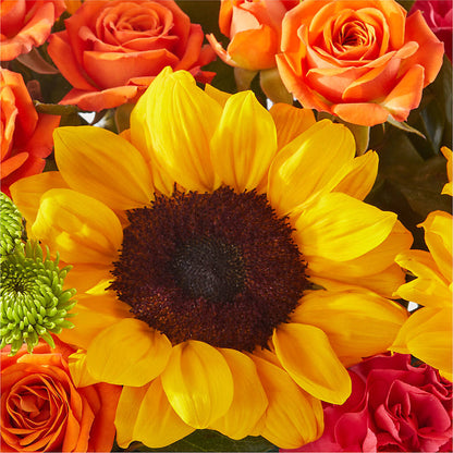 Sun-drenched Blooms Box Bouquet – WENDT'S FLORIST & GIFTS, Duncansville PA