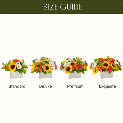 Sun-drenched Blooms Box Bouquet – WENDT'S FLORIST & GIFTS, Duncansville PA