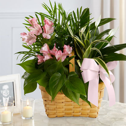 Living Spirit Dishgarden – WENDT'S FLORIST & GIFTS, Duncansville PA