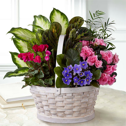 Peaceful Garden Planter – WENDT'S FLORIST & GIFTS, Duncansville PA