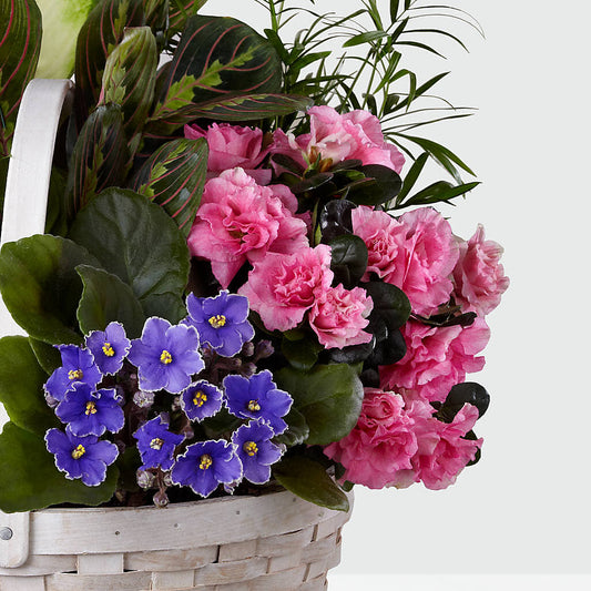 Peaceful Garden Planter – WENDT'S FLORIST & GIFTS, Duncansville PA