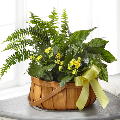 Always Dear Dishgarden – WENDT'S FLORIST & GIFTS, Duncansville PA