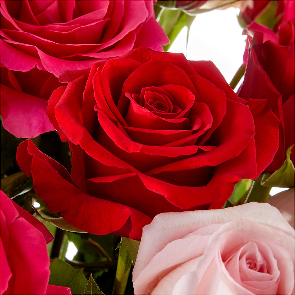 Love Notes Rose Bouquet – WENDT'S FLORIST & GIFTS, Duncansville PA