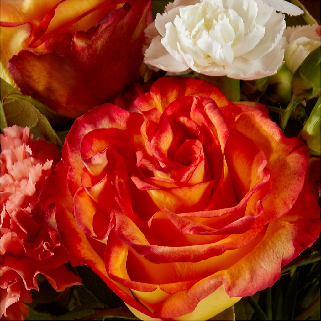 Apricot Glow Bouquet – WENDT'S FLORIST & GIFTS, Duncansville PA