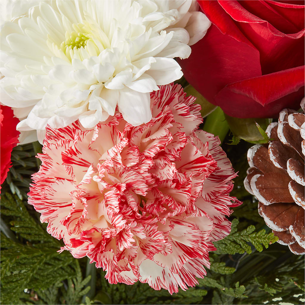 Candy Cane Lane Bouquet – WENDT'S FLORIST & GIFTS, Duncansville PA