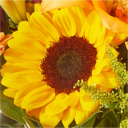 Seasons Change Bouquet – WENDT'S FLORIST & GIFTS, Duncansville PA