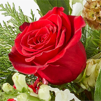 Deck the Halls Bouquet – WENDT'S FLORIST & GIFTS, Duncansville PA