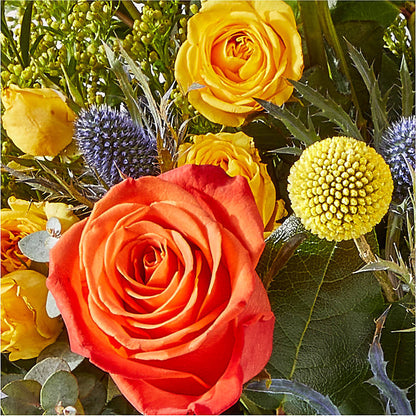Disco Bouquet – WENDT'S FLORIST & GIFTS, Duncansville PA