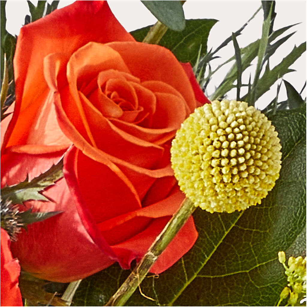 Disco Bouquet – WENDT'S FLORIST & GIFTS, Duncansville PA