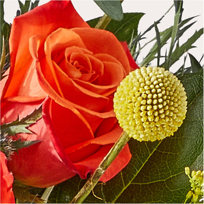 Disco Bouquet – WENDT'S FLORIST & GIFTS, Duncansville PA