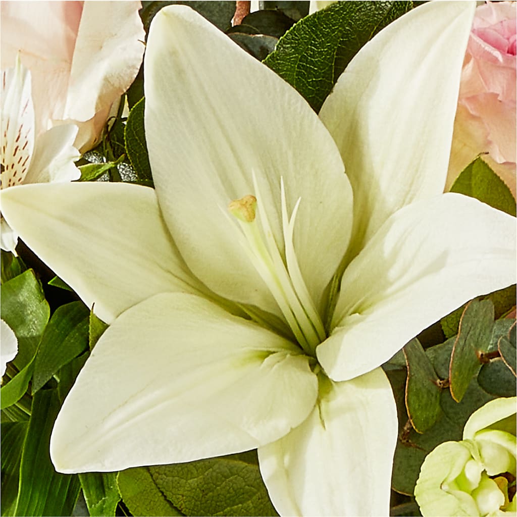 Ballet Slippers Bouquet – WENDT'S FLORIST & GIFTS, Duncansville PA