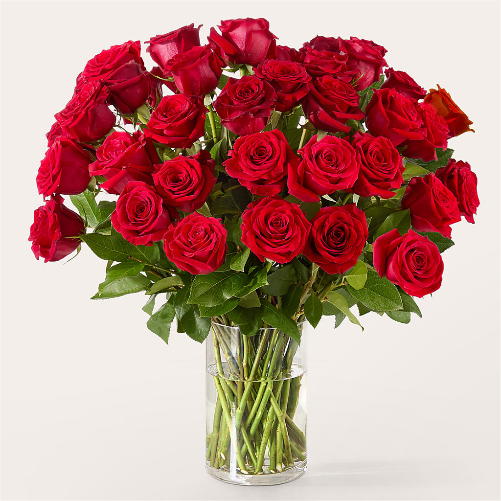 The One Red Rose Bouquet – WENDT'S FLORIST & GIFTS, Duncansville PA