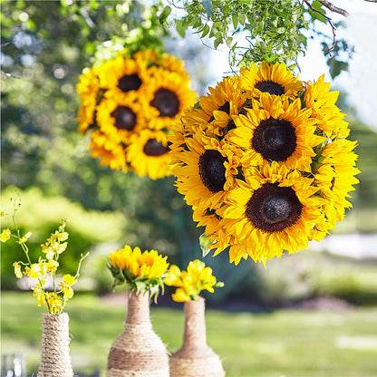 Sublime Garden Hanging Arrangement – WENDT'S FLORIST & GIFTS, Duncansville PA